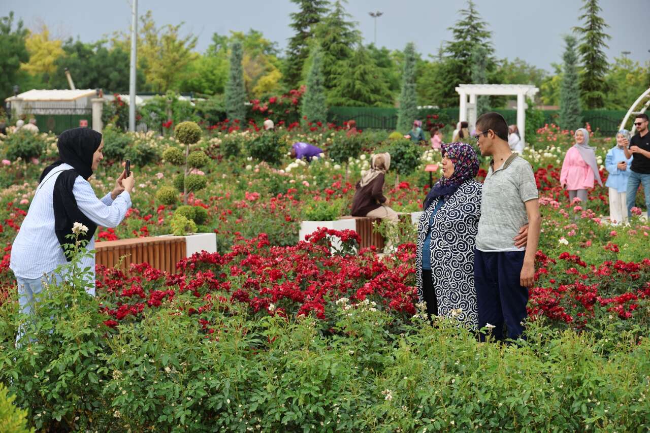 Türkiye'yi Konya'ya çeken Karatay'ın mor ve renkli cenneti gönülleri fethetti 3